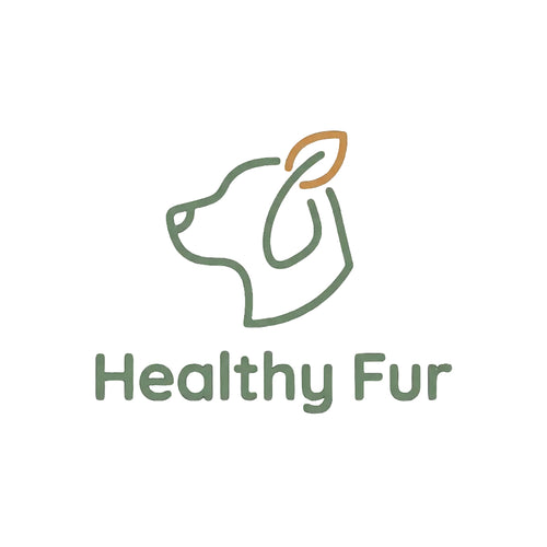 A minimalist logo featuring a dog head outline in muted green with a small orange ear accent, above the words 'Healthy Fur' in green, on a light cream background.